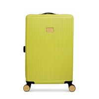 Dune London Olive 67cm Medium Suitcase Lime Gloss