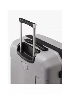 Ted Baker Flying Colours 54cm 4-Wheel Cabin Case - Frost Grey #7